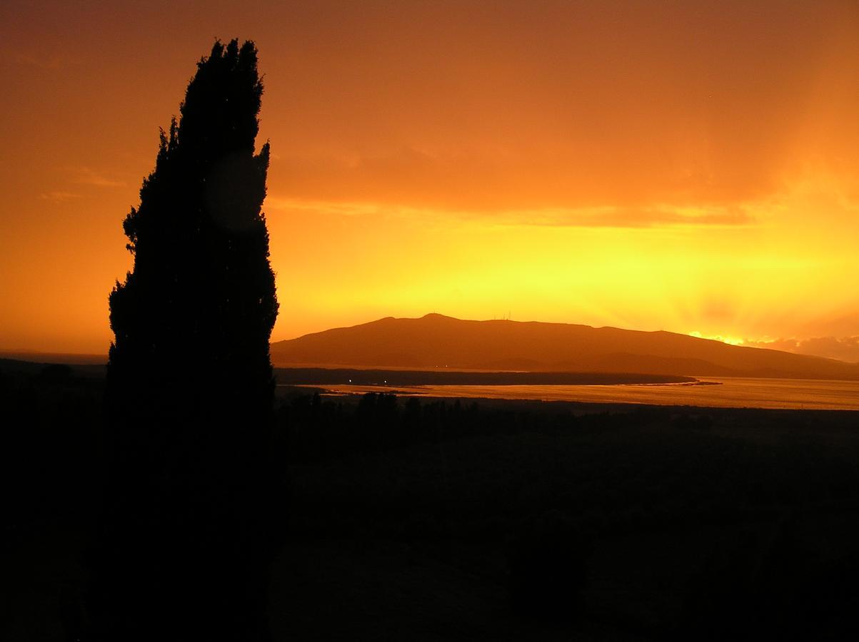 Agriturismo Grazia Orbetello Exterior photo